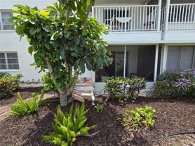 2207 Sunset Dr #E5 - Photo 1 of 1