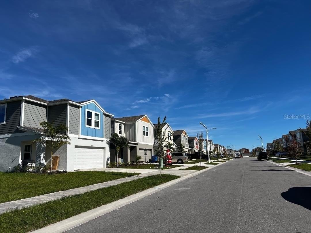 34200 Scarlet Sage Ct - Photo 2 of 34