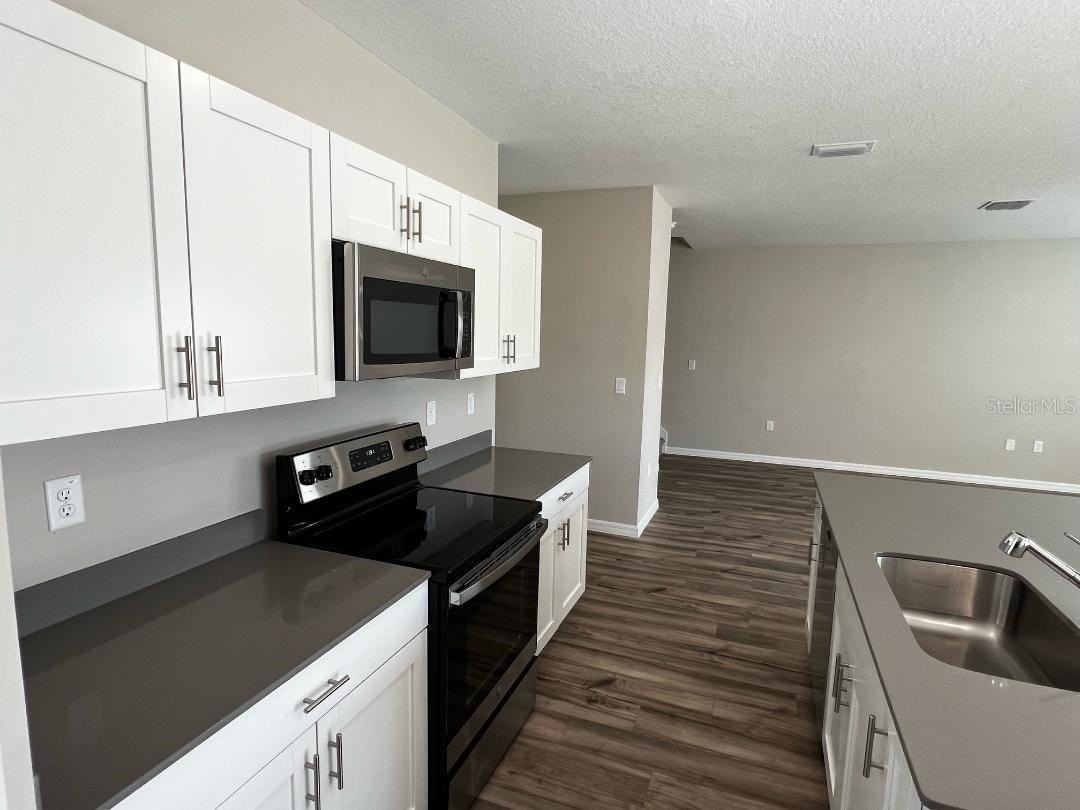 34200 Scarlet Sage Ct - Photo 6 of 34