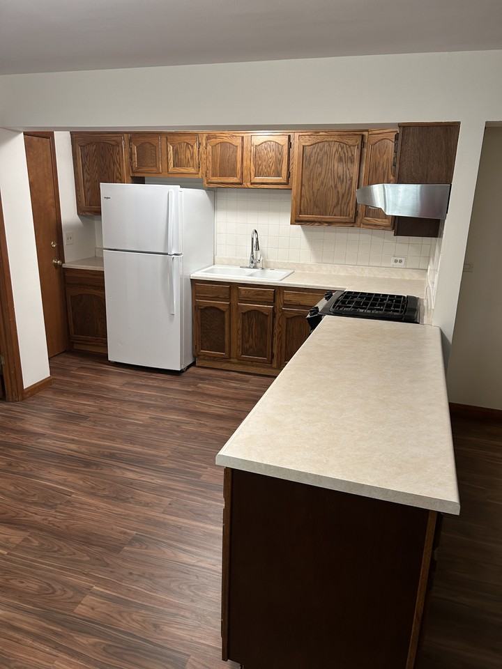 1344 N Northwest Hwy #B - Photo 2 of 11