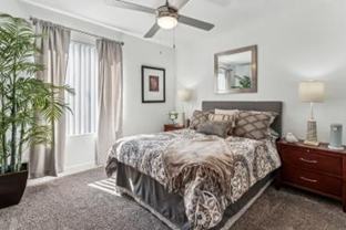 Lucera Apartments Homes - Photo 1 of 1