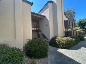 3701 Colonial Dr #233 - Photo 1 of 1