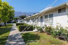 lim216 - Photo 1 of 1