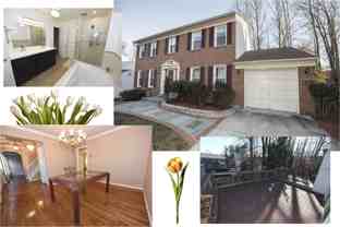14903 Running Ridge Ln - Photo 1 of 1
