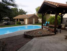 featured image of 108 Nimrod