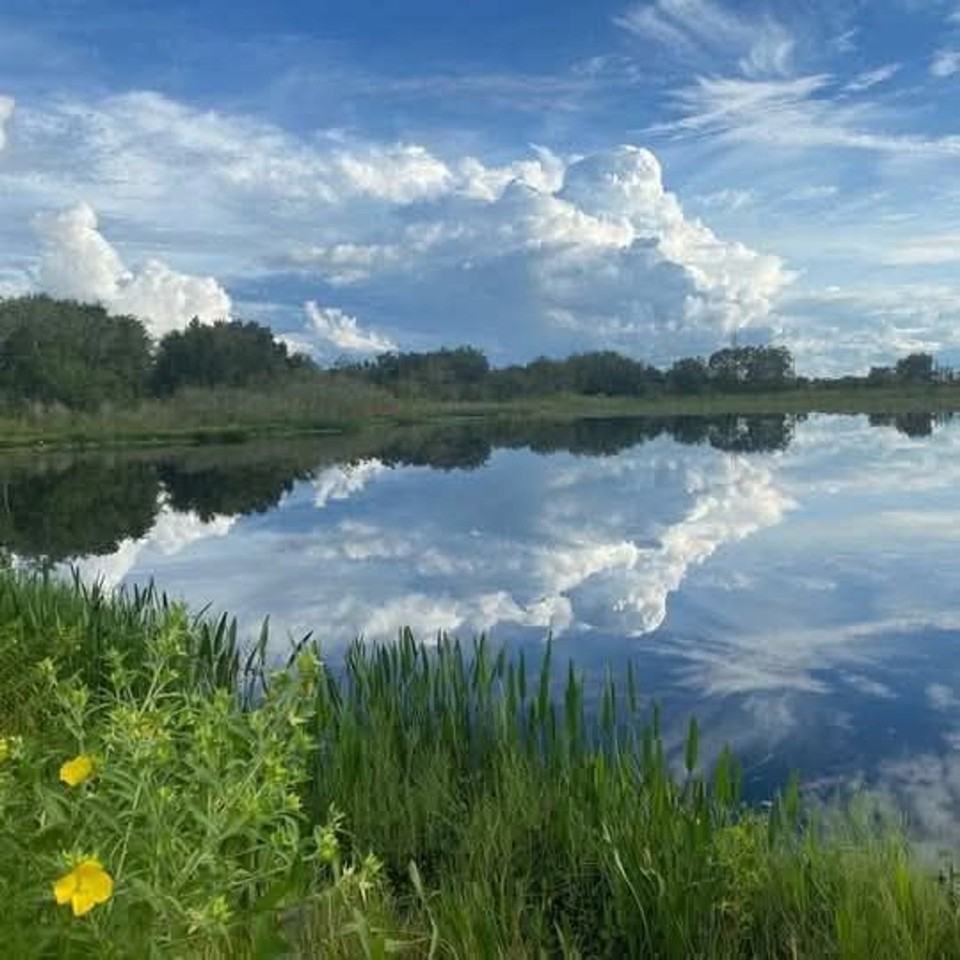 La Provence Studios - Photo 5 of 6