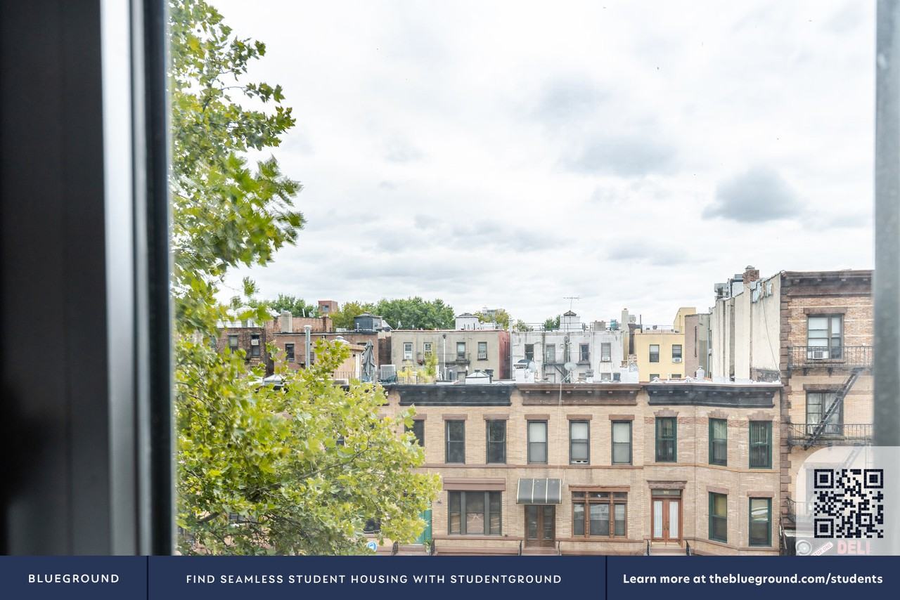 325 Lafayette Ave #1979 - Photo 7 of 29