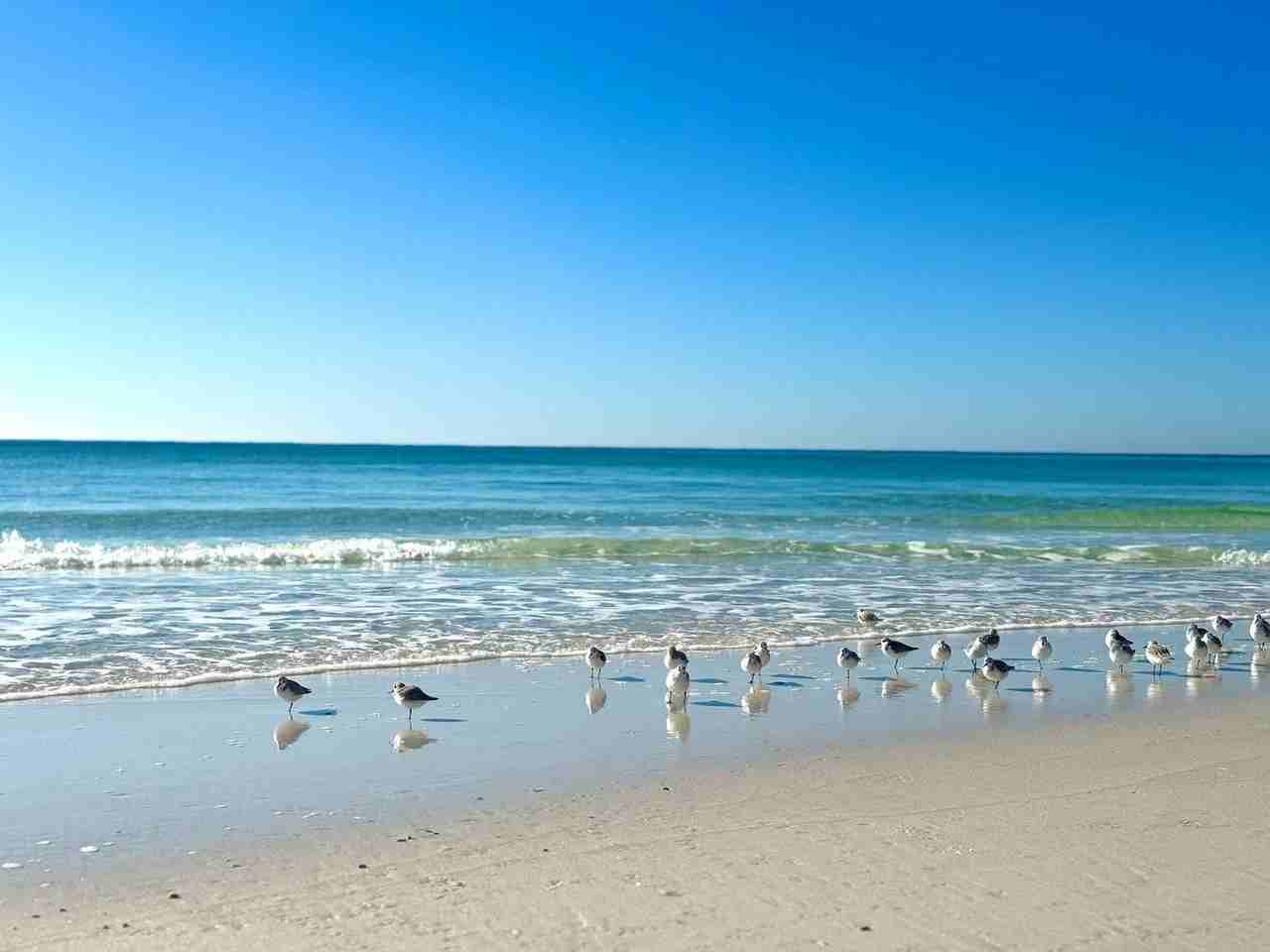 4456 Luke Ave #1285931P - Photo 6 of 50