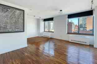 300 E 85th St #1003 - Photo 1 of 1