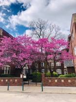 Jones Ansonia Apartments - Photo 1 of 1