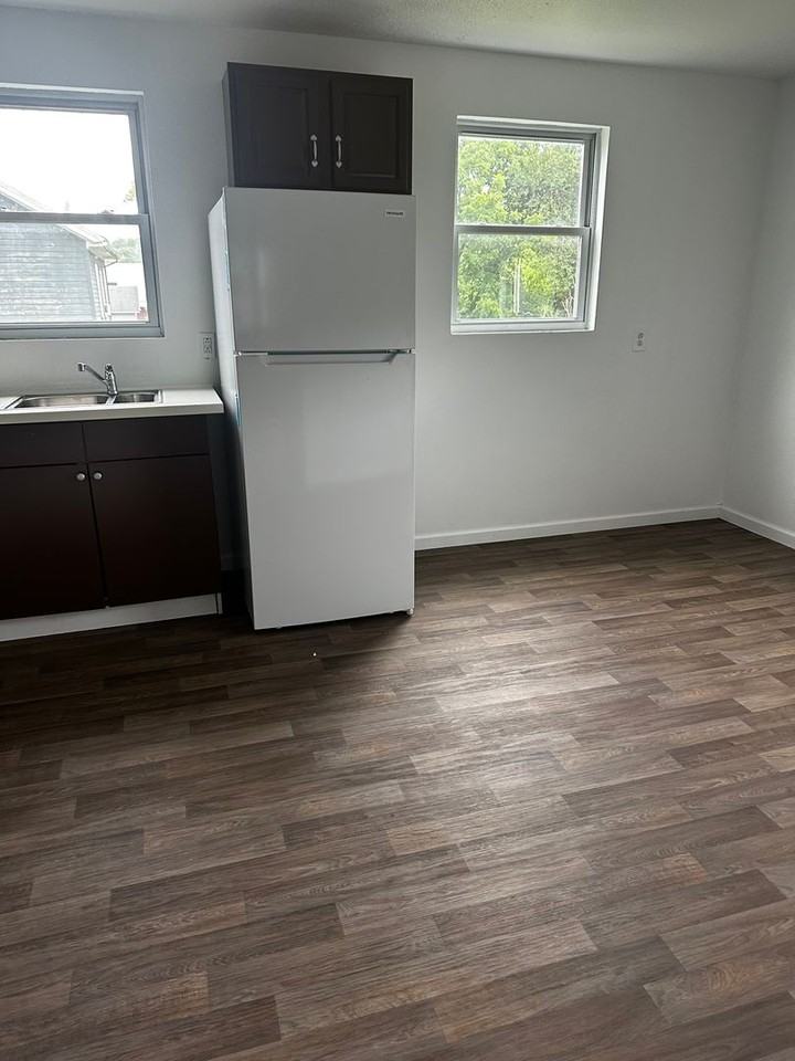 131 Spring Street - Photo 2 of 17