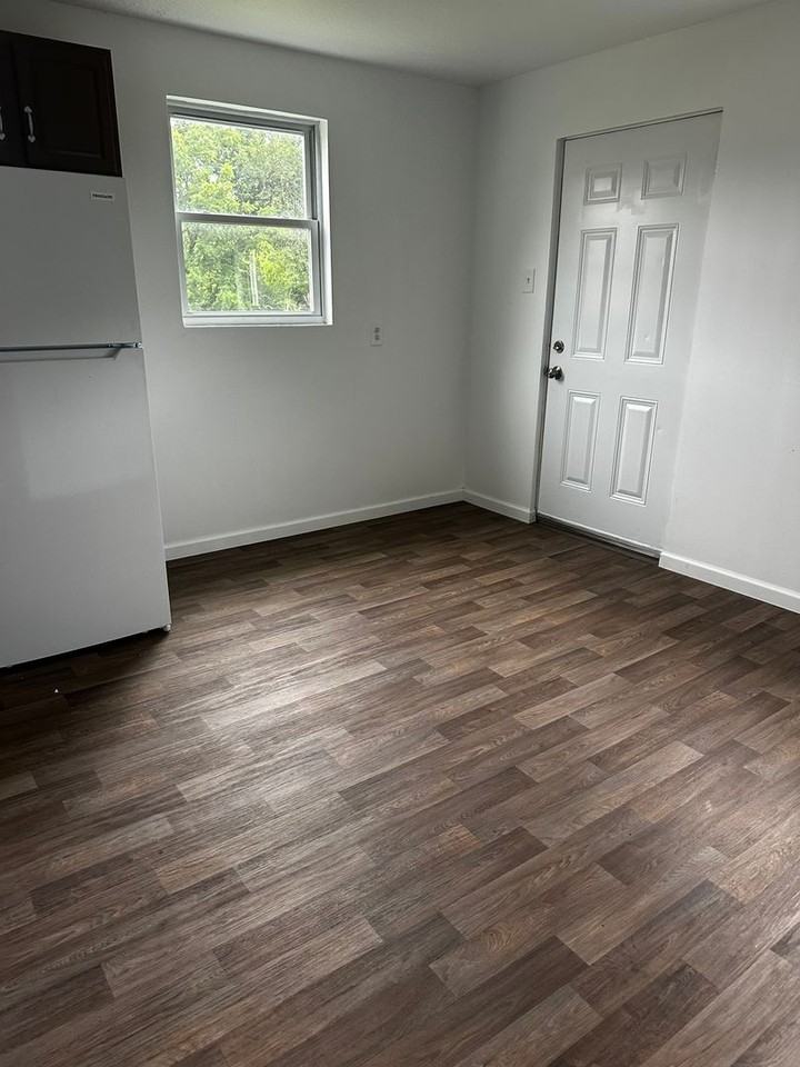 131 Spring Street - Photo 3 of 17