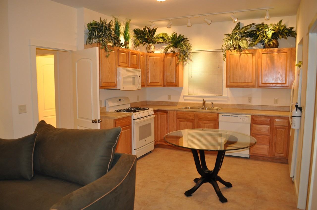 203 Williams Street - Photo 2 of 50