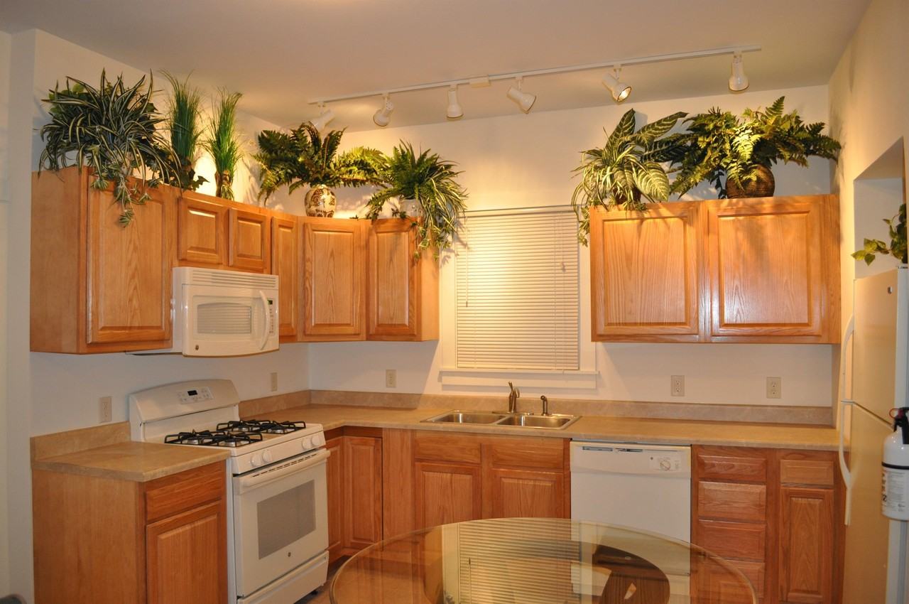 203 Williams Street - Photo 4 of 50