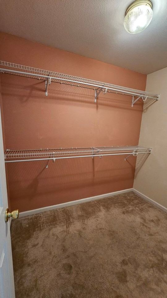 1910 Fountain Court - Photo 7 of 16