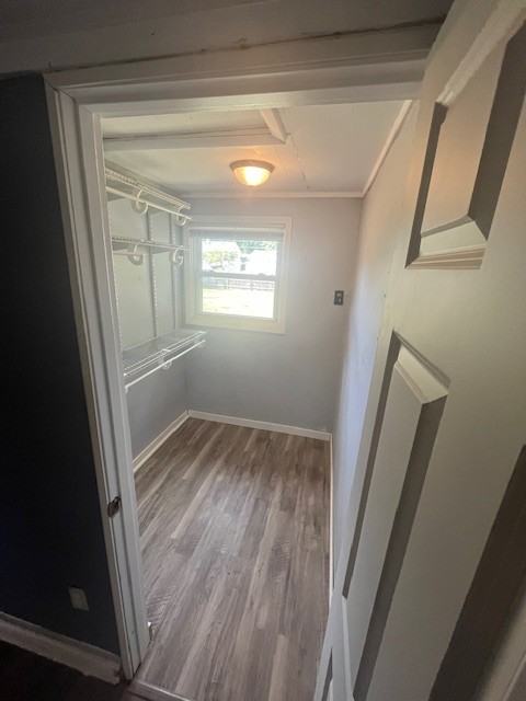 2411 Burningtree Ln - Photo 2 of 11