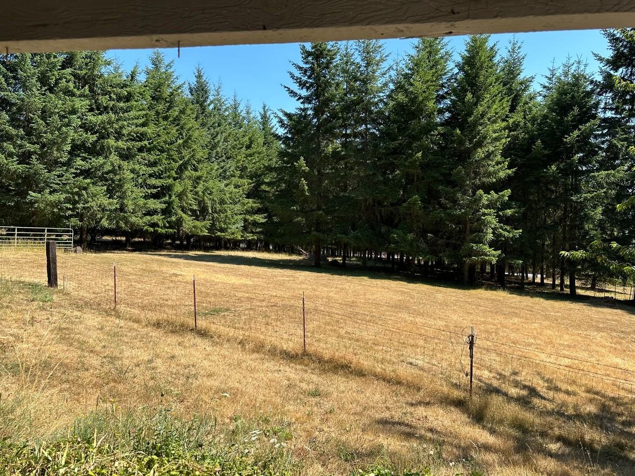 41986 Marks Ridge Dr - Photo 2 of 8