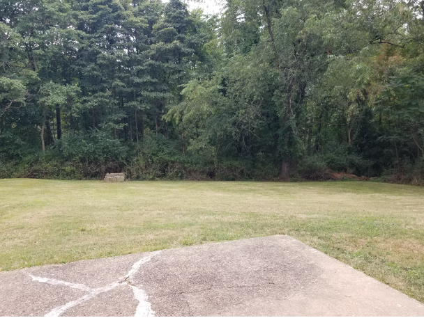 3639 State Route 819 #NA - Photo 2 of 7