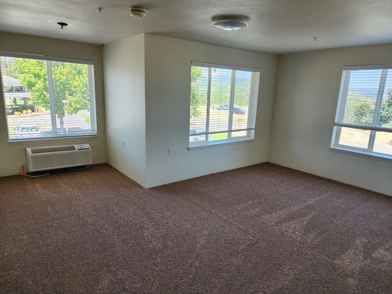 5900 Canyon View Dr - Photo 7 of 21