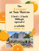 The Avenue at San Marcos - Photo 1 of 1