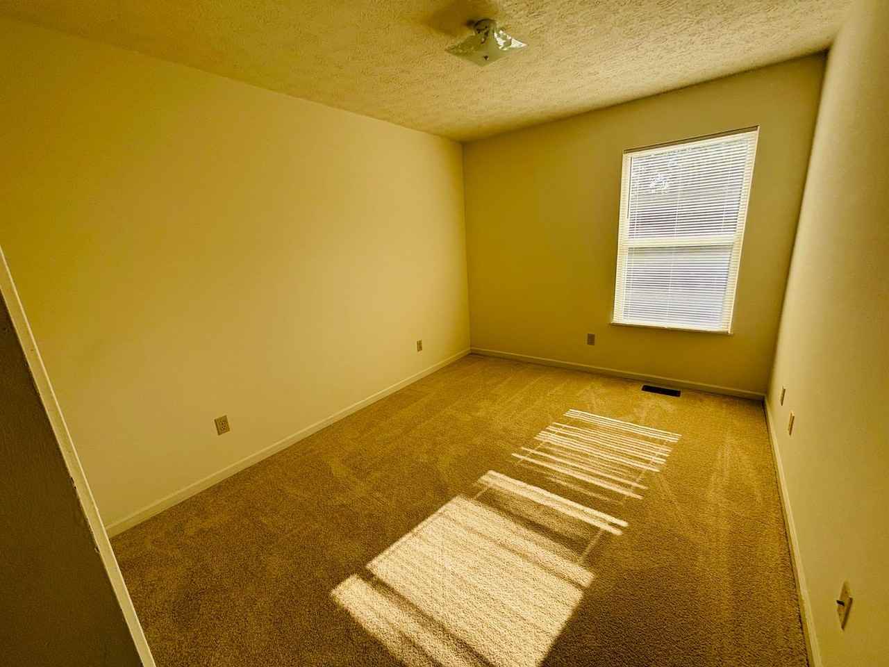 510 Craig St - Photo 5 of 20