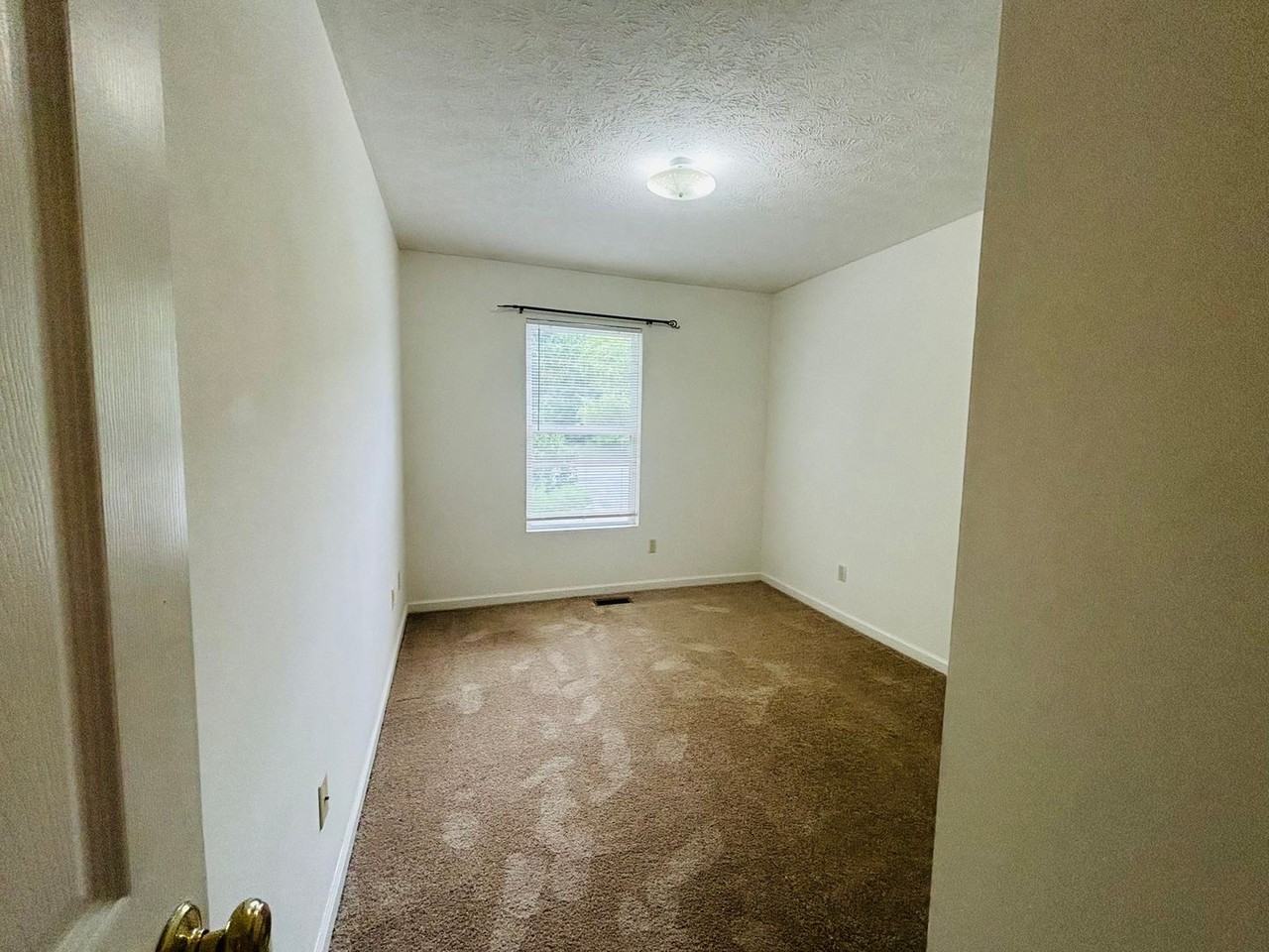 514 Craig St - Photo 7 of 18