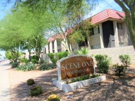 700 West University Drive #218 - Photo 1 of 1