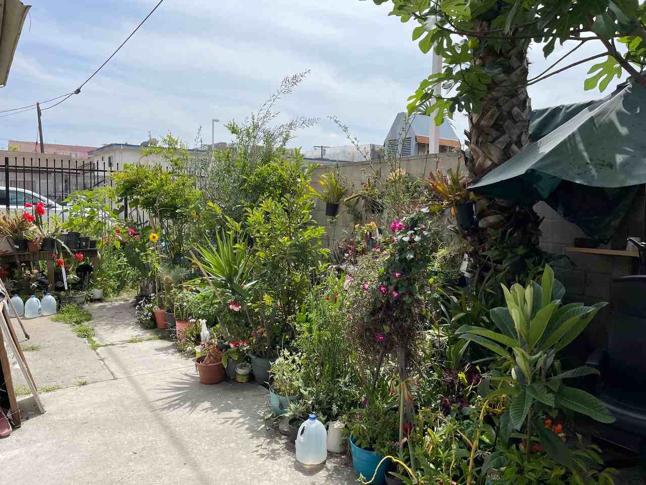 Kingsley Kourt - Photo 3 of 34