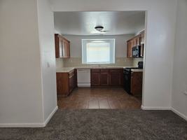 featured image of 2042 Romolo St