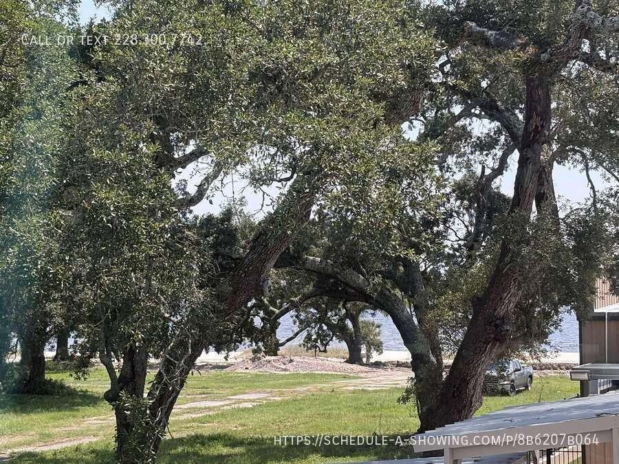 114 Debuys Road #114 - Photo 5 of 15