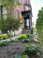 featured image of 1337 Scott St