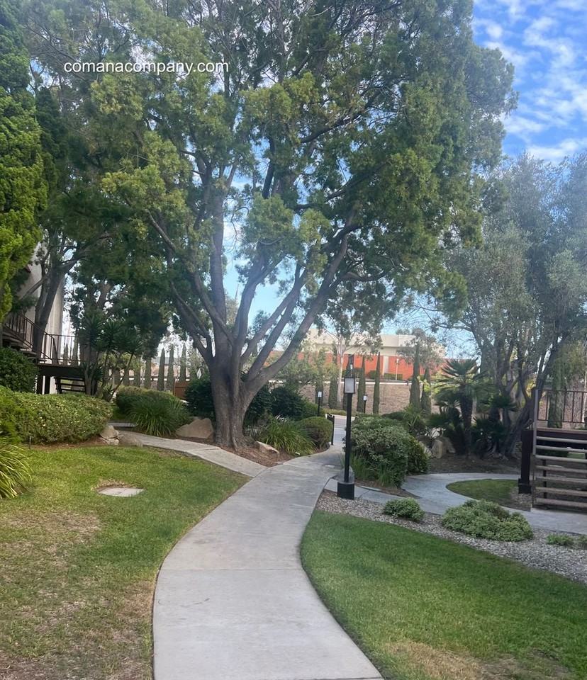 6878 Navajo Rd #21 - Photo 6 of 29