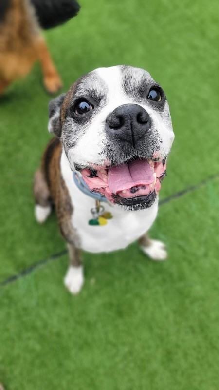 1534 Richland Rd Sw #NA - Photo 6 of 7