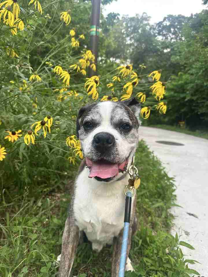 1534 Richland Rd Sw #NA - Photo 7 of 7