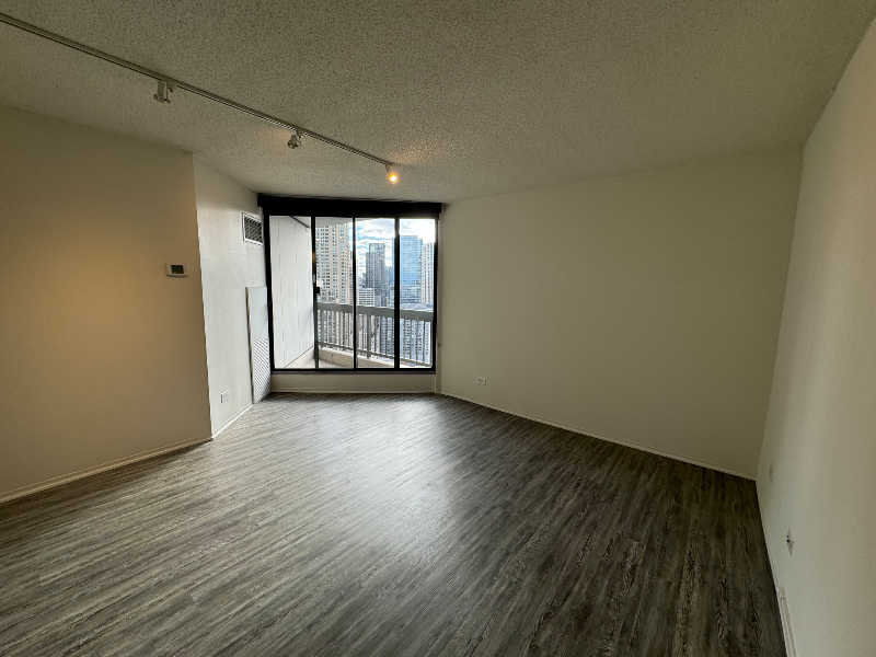 45 W Chicago Ave - Photo 3 of 12