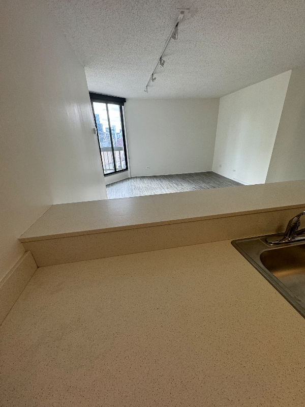 45 W Chicago Ave - Photo 6 of 12