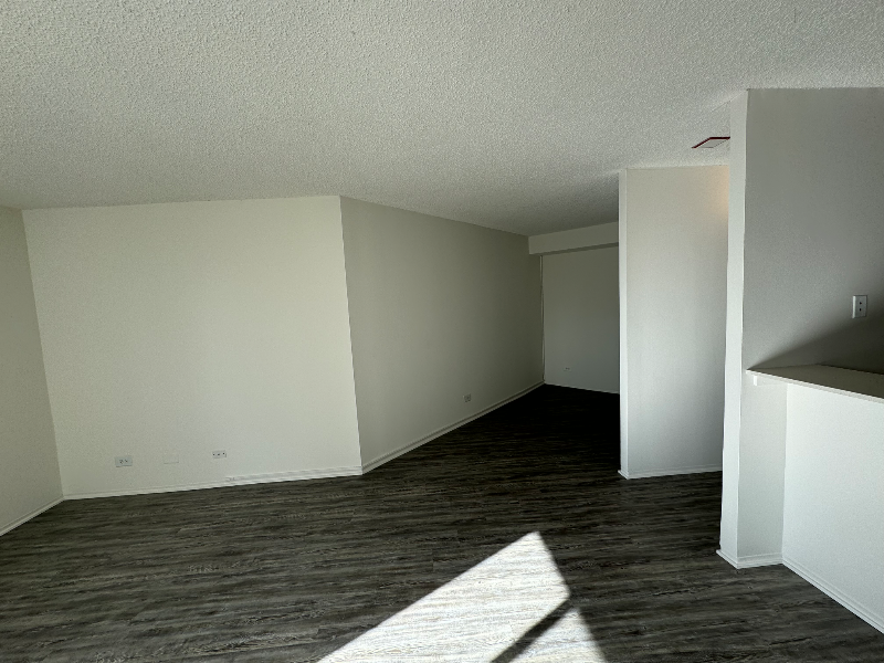 45 W Chicago Ave - Photo 7 of 12