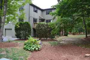 featured image of 53 Treetop Park