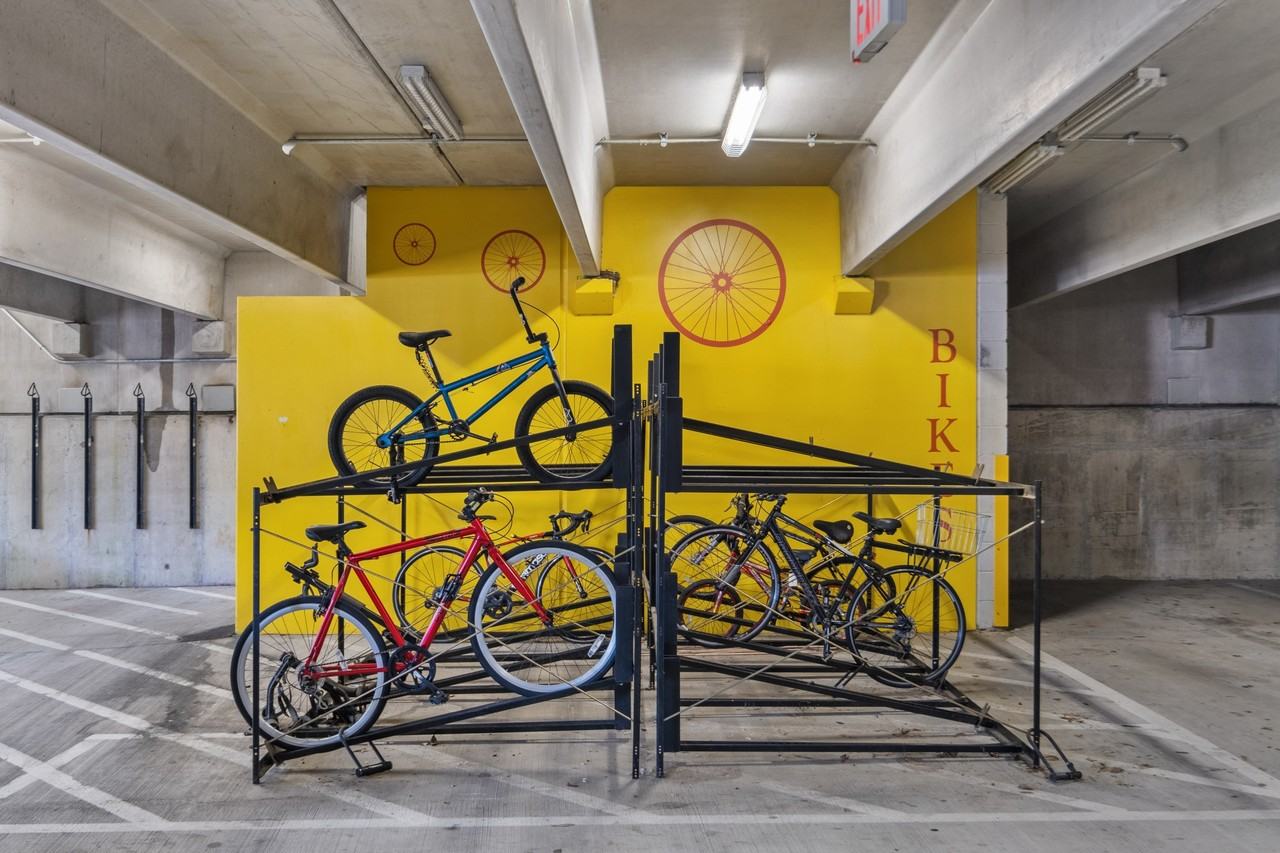 The Shelby - Photo 6 of 41