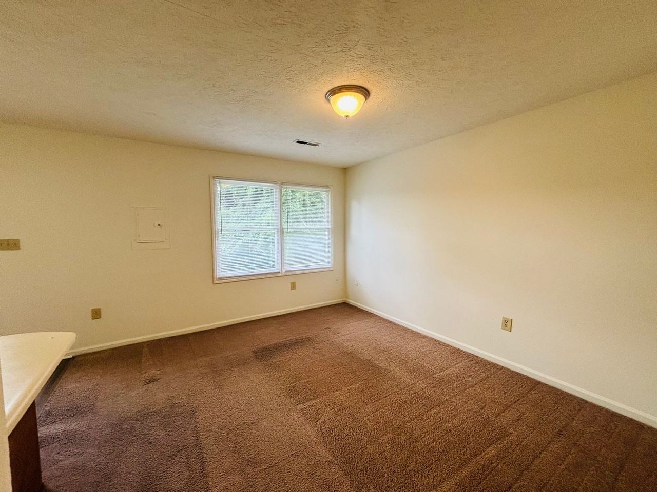 623 Green St - Photo 4 of 19