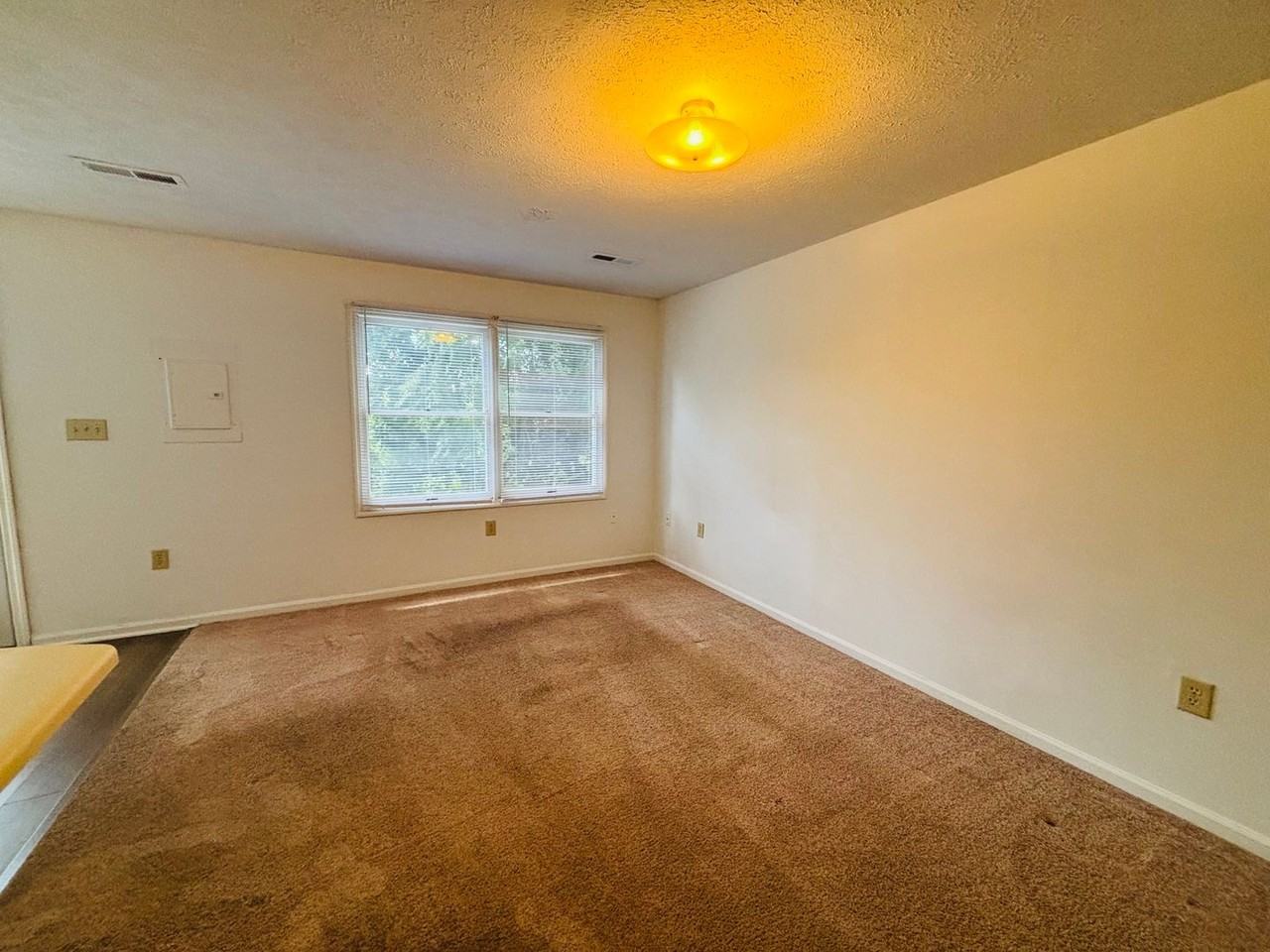507 Green St Apt C - Photo 6 of 20