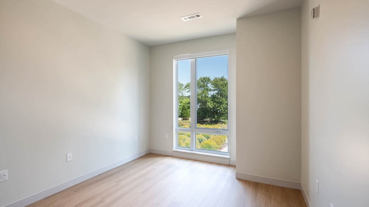 The Basin - Photo 5 of 50