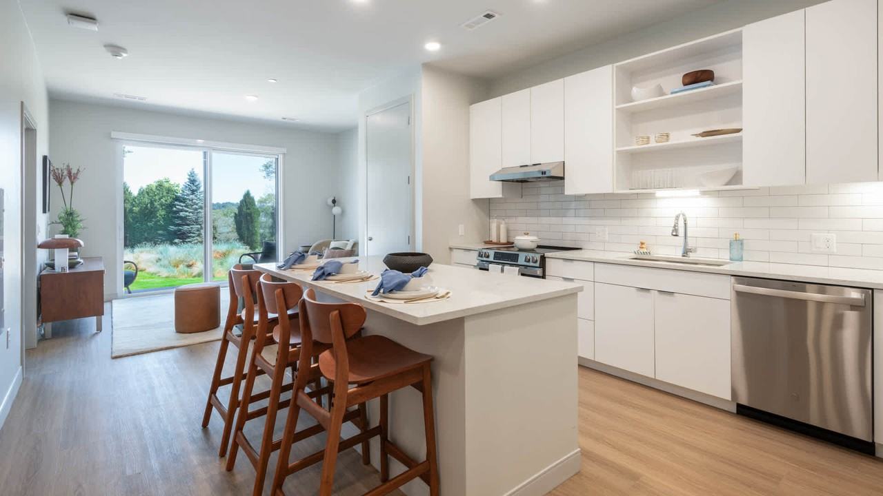 The Basin - Photo 4 of 50