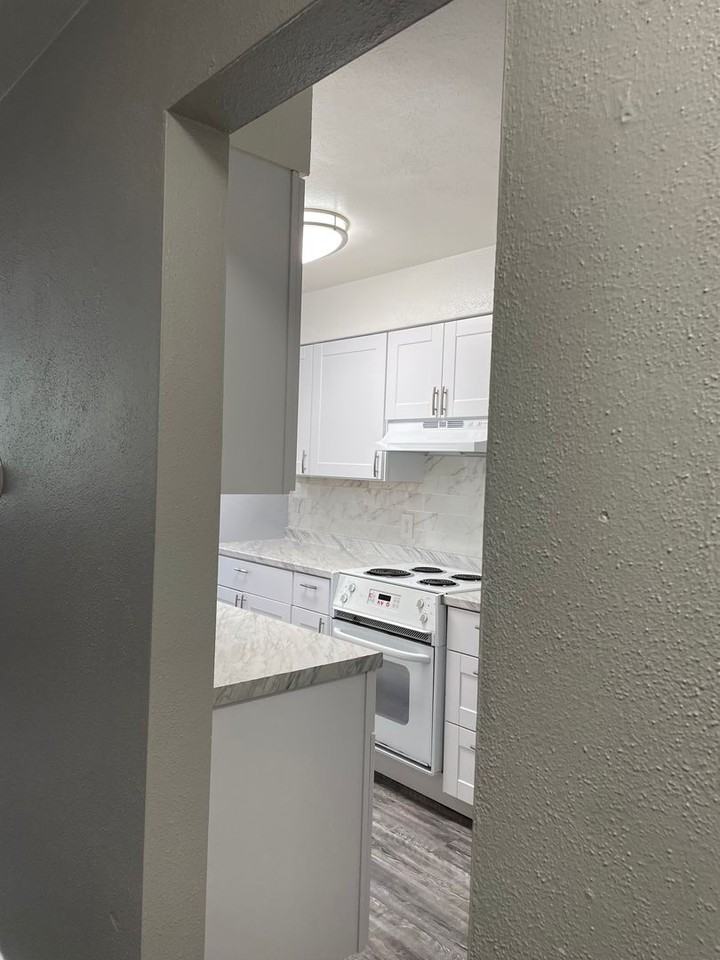 Large Spacious 1 & 2 Bedroom Apartments - Photo 7 of 43