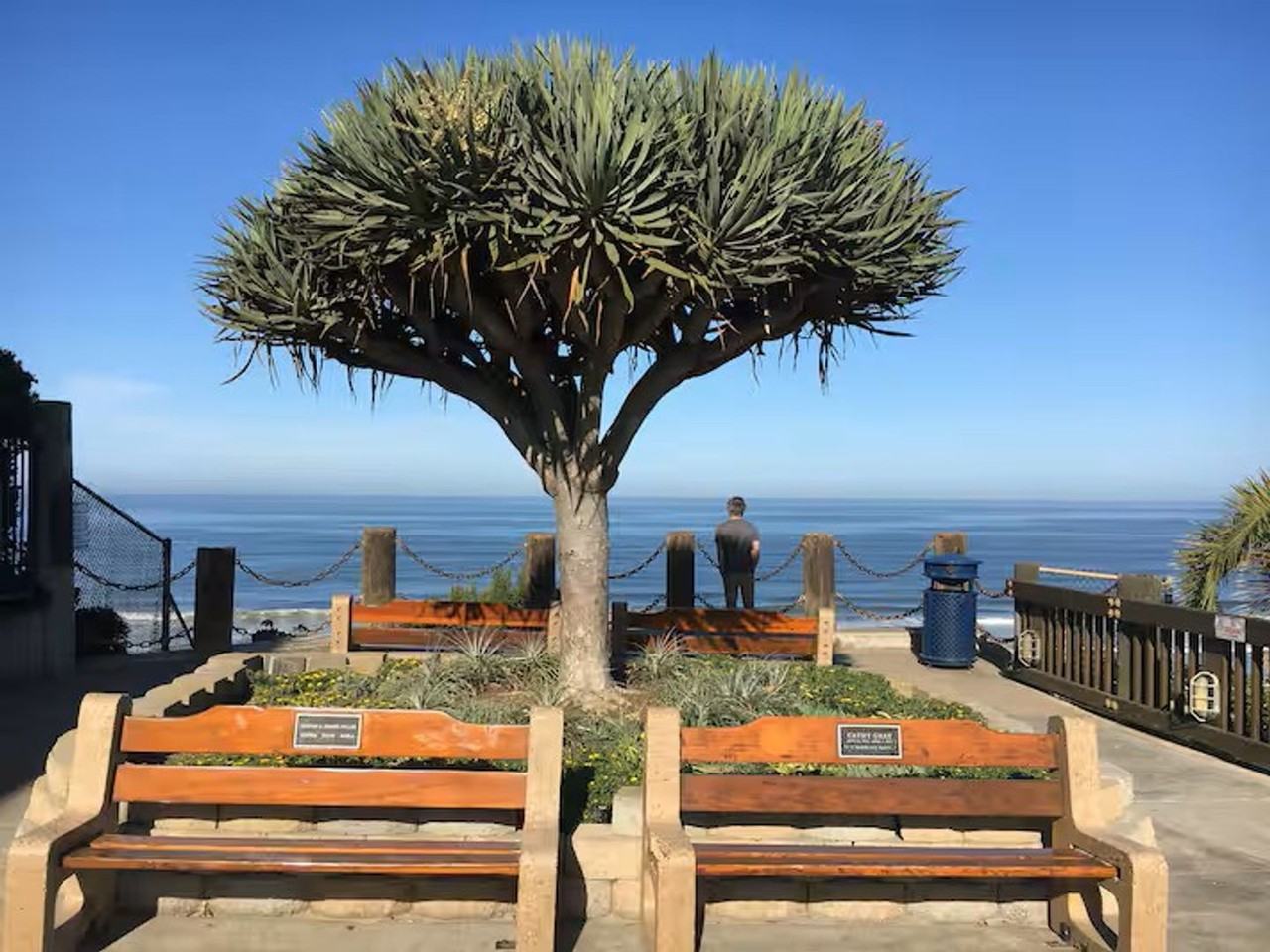 837 4th St - Photo 5 of 31