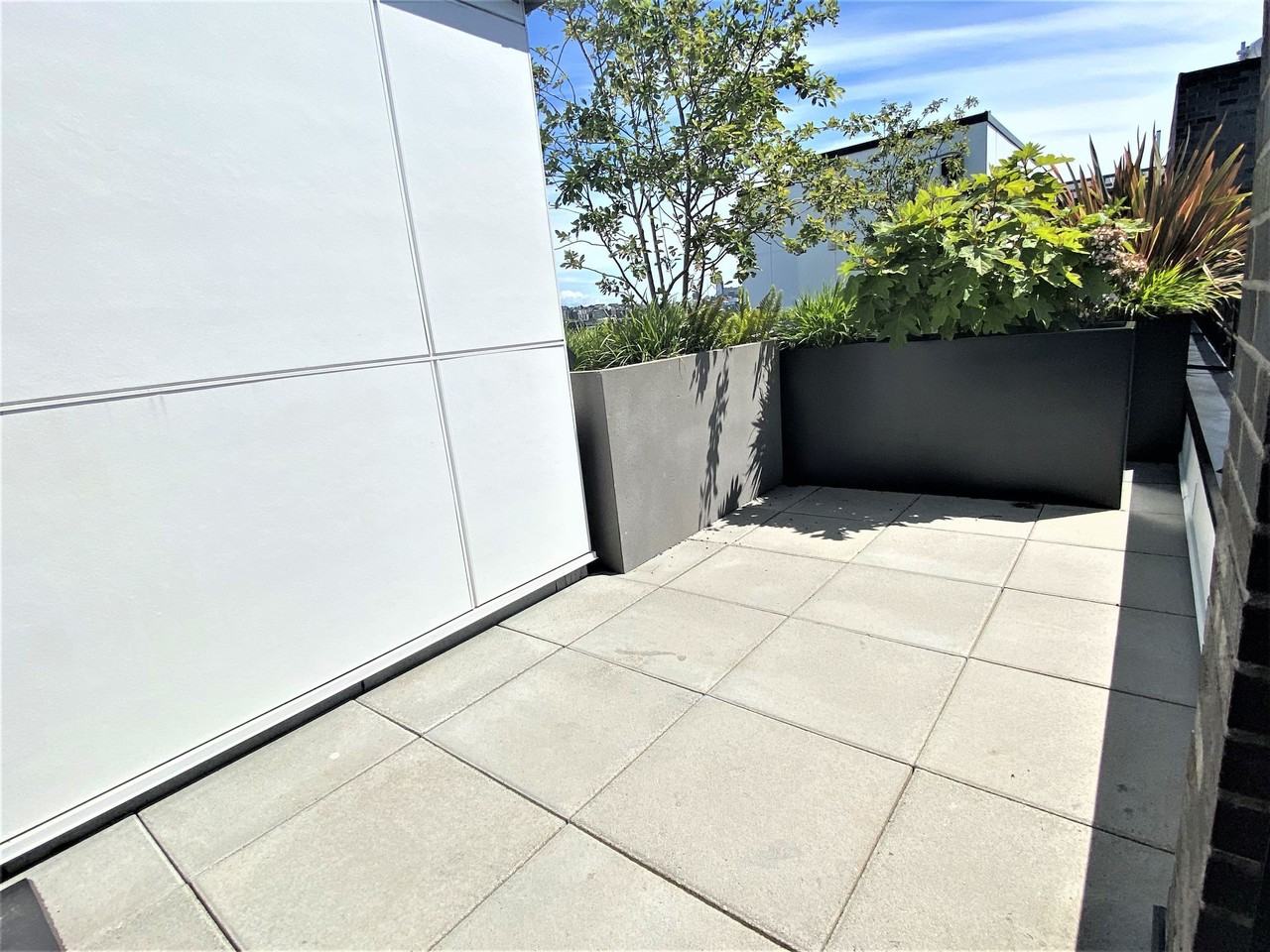 Stream Dexios - Photo 4 of 50