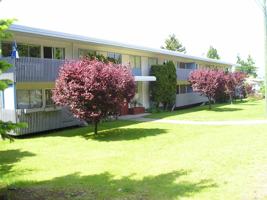 featured image of 342 Cedar Street #14