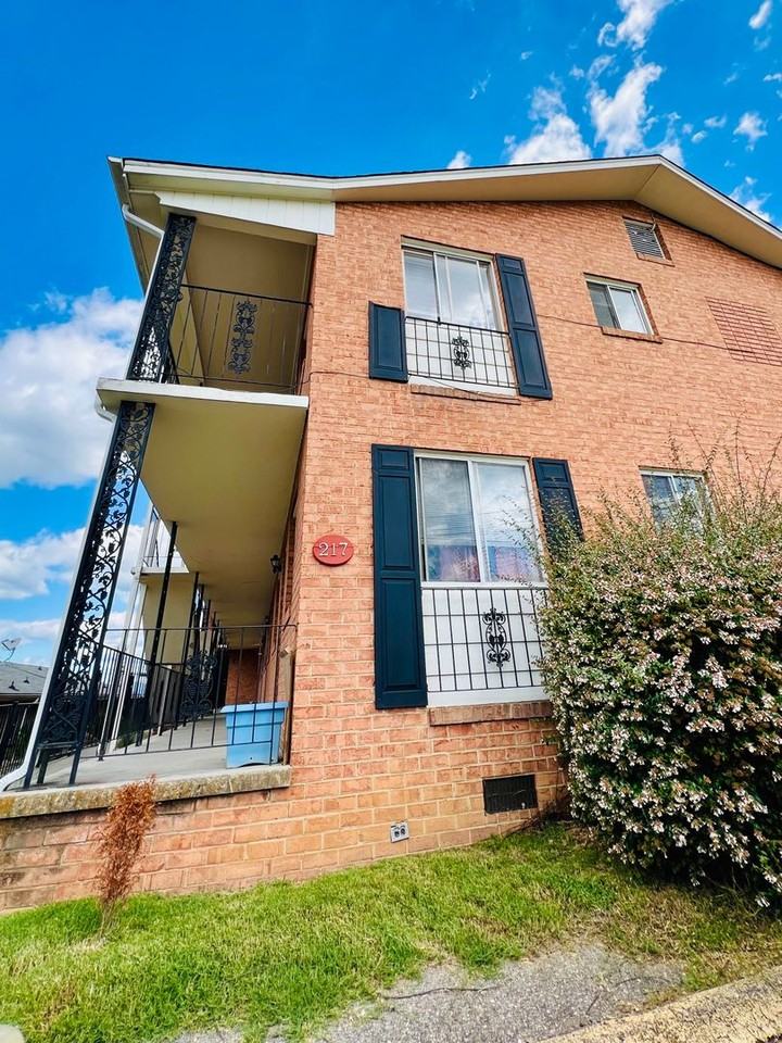 217 Mountain Avenue Southwest #8 - Photo 2 of 12