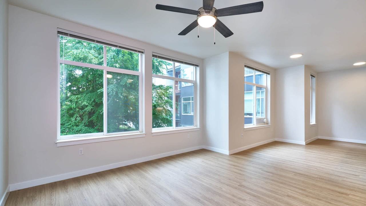 Veloce - Photo 2 of 50