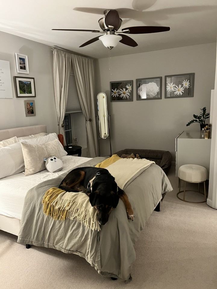 271 Cameron Station Blvd #104 - Photo 6 of 15